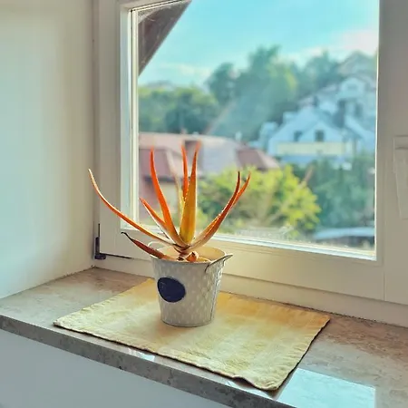 דירה Urban Jungle - Luksusowy W Gdyni.