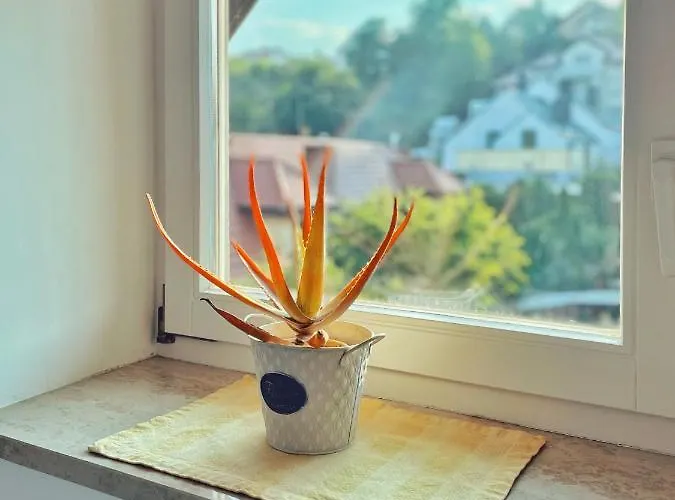 Apartman Urban Jungle - Luksusowy W Gdyni.