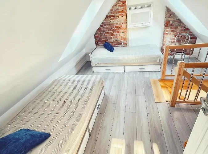 Urban Jungle - Luksusowy W Gdyni. * Gdynia