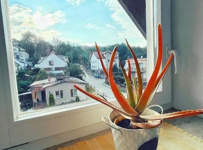 Urban Jungle - Luksusowy W Gdyni. Apartman