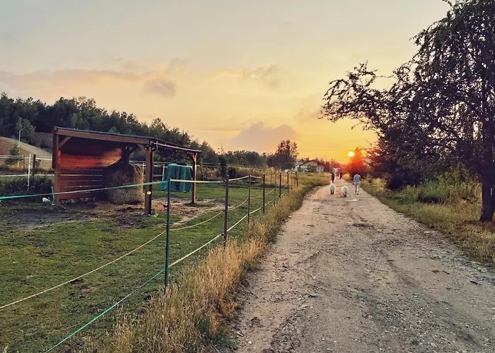 Apartman Urban Jungle - Luksusowy W Gdyni. *