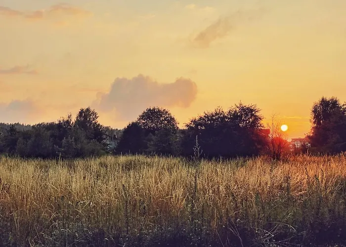 Urban Jungle - Luksusowy W Gdyni. Apartman *