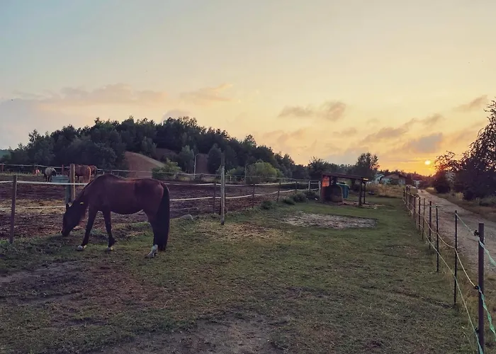 Urban Jungle - Luksusowy W Gdyni. *