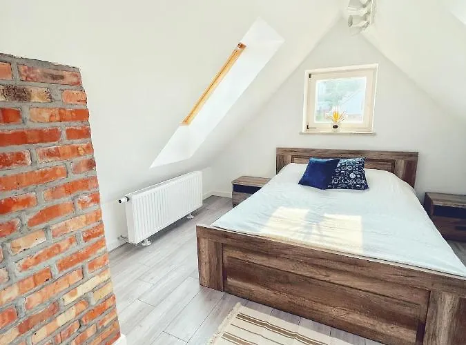 Urban Jungle - Luksusowy W Gdyni. *