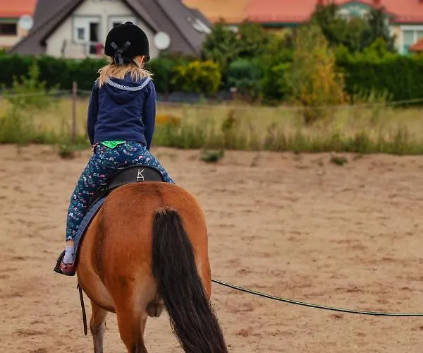 Urban Jungle - Luksusowy W Gdyni. Gdynia