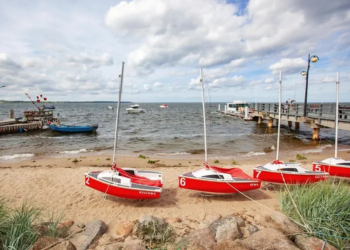 Urban Jungle - Luksusowy W Gdyni. Gdynia