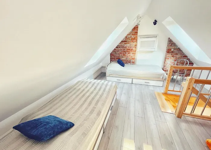 Urban Jungle - Luksusowy W Gdyni. * Gdynia